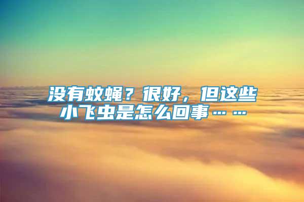 沒有蚊蠅？很好，但這些小飛蟲是怎么回事……