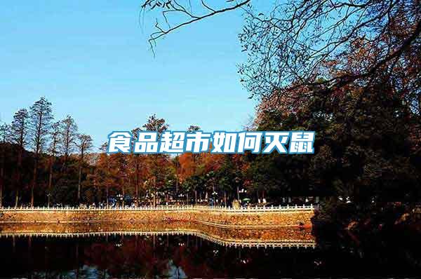 食品超市如何滅鼠