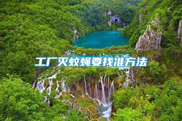 工廠滅蚊蠅要找準方法