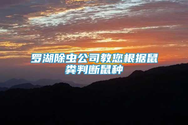 羅湖除蟲公司教您根據(jù)鼠糞判斷鼠種