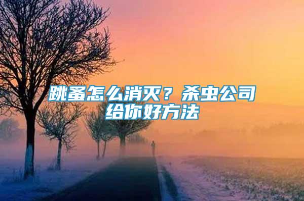 跳蚤怎么消滅？殺蟲公司給你好方法