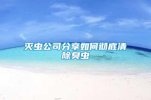 滅蟲公司分享如何徹底清除臭蟲
