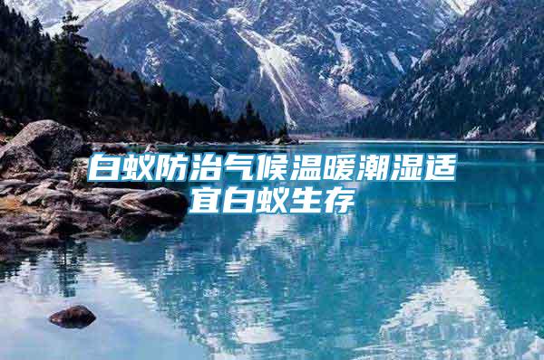 白蟻防治氣候溫暖潮濕適宜白蟻生存