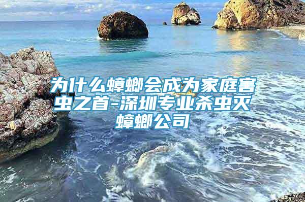 為什么蟑螂會成為家庭害蟲之首-深圳專業(yè)殺蟲滅蟑螂公司