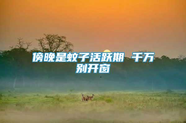 傍晚是蚊子活躍期 千萬別開窗