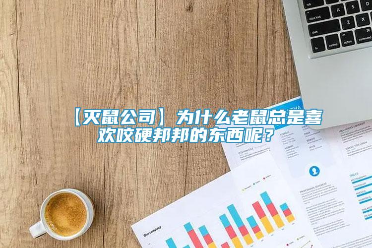 【滅鼠公司】為什么老鼠總是喜歡咬硬邦邦的東西呢？