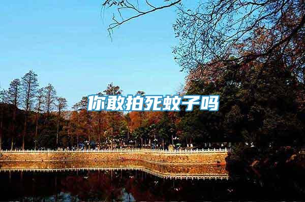 你敢拍死蚊子嗎