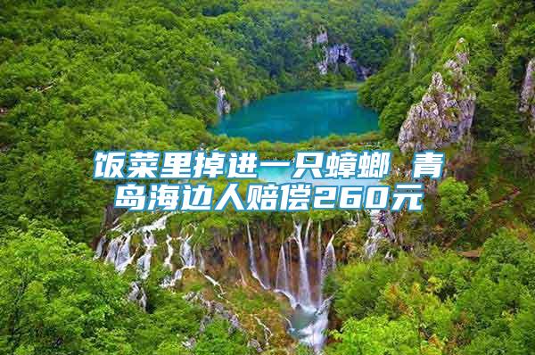 飯菜里掉進一只蟑螂 青島海邊人賠償260元