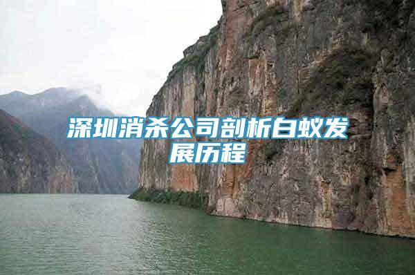 深圳消殺公司剖析白蟻發(fā)展歷程