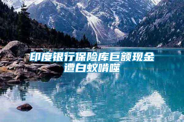 印度銀行保險庫巨額現(xiàn)金遭白蟻啃噬
