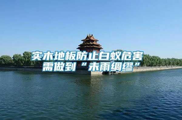 實木地板防止白蟻危害 需做到“未雨綢繆”