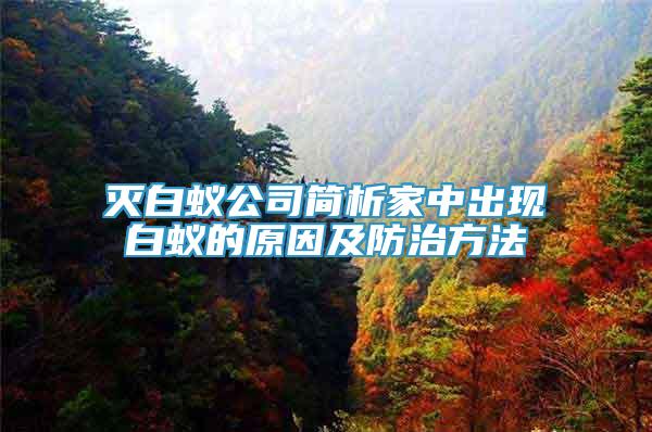 滅白蟻公司簡析家中出現(xiàn)白蟻的原因及防治方法