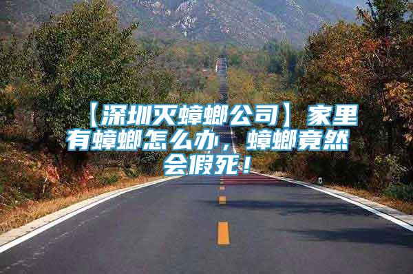 【深圳滅蟑螂公司】家里有蟑螂怎么辦，蟑螂竟然會假死！