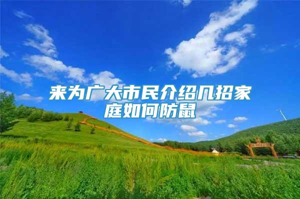 來為廣大市民介紹幾招家庭如何防鼠