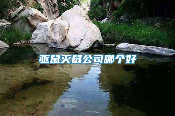驅(qū)鼠滅鼠公司哪個好