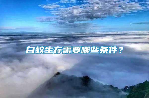 白蟻生存需要哪些條件？