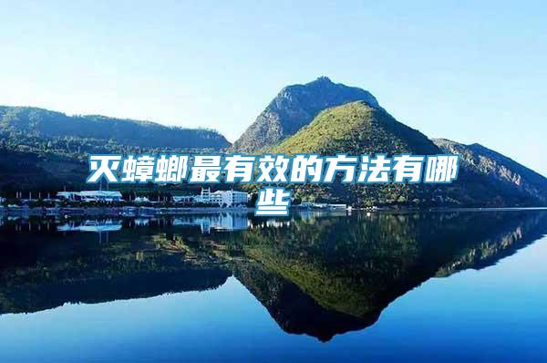 滅蟑螂最有效的方法有哪些