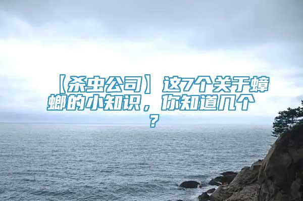 【殺蟲公司】這7個(gè)關(guān)于蟑螂的小知識(shí)，你知道幾個(gè)？