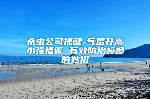 殺蟲公司提醒-氣溫升高小強猖獗 有效防治蟑螂的妙招