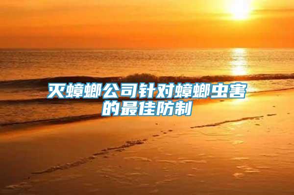 滅蟑螂公司針對蟑螂蟲害的最佳防制
