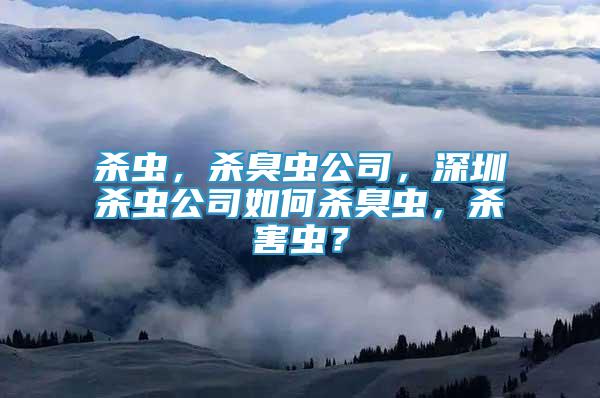 殺蟲，殺臭蟲公司，深圳殺蟲公司如何殺臭蟲，殺害蟲？