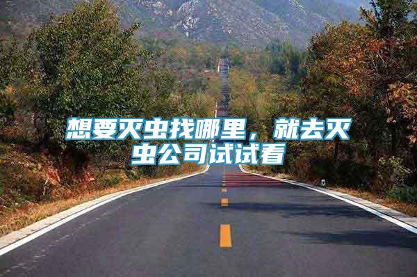 想要滅蟲找哪里，就去滅蟲公司試試看