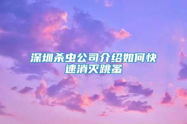 深圳殺蟲公司介紹如何快速消滅跳蚤