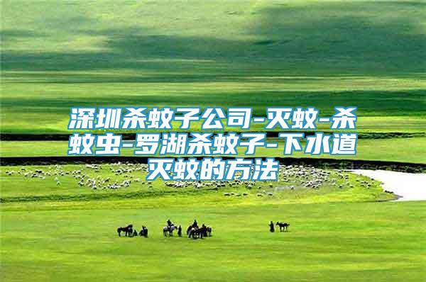 深圳殺蚊子公司-滅蚊-殺蚊蟲-羅湖殺蚊子-下水道滅蚊的方法