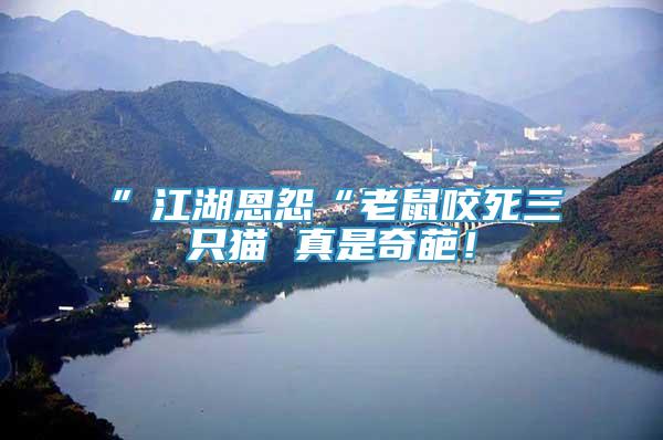 ”江湖恩怨“老鼠咬死三只貓 真是奇葩！