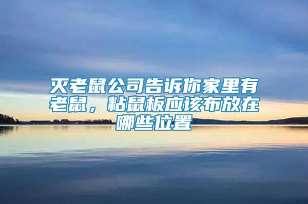 滅老鼠公司告訴你家里有老鼠，粘鼠板應(yīng)該布放在哪些位置