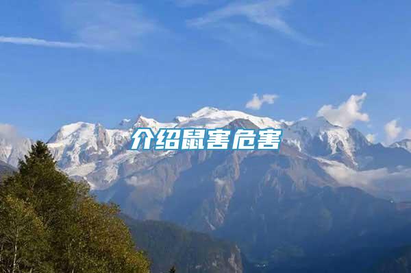 介紹鼠害危害