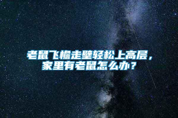老鼠飛檐走壁輕松上高層，家里有老鼠怎么辦？