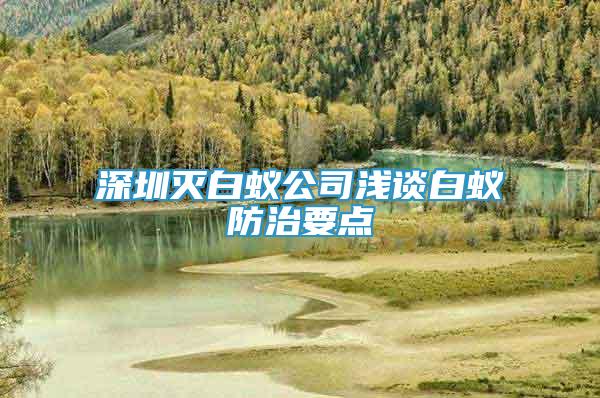 深圳滅白蟻公司淺談白蟻防治要點(diǎn)