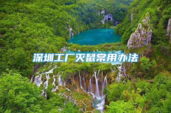 深圳工廠滅鼠常用辦法