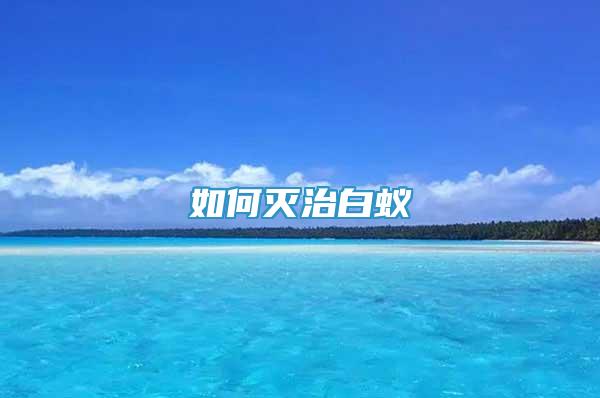 如何滅治白蟻