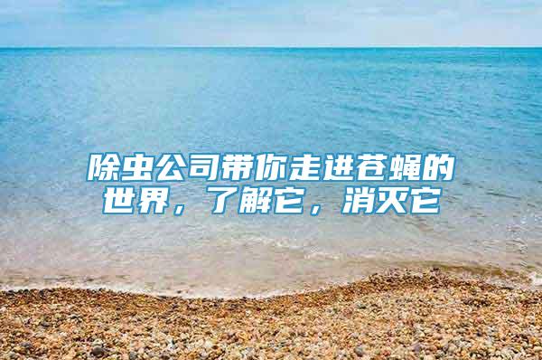 除蟲公司帶你走進蒼蠅的世界，了解它，消滅它