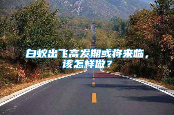 白蟻出飛高發(fā)期或將來臨，該怎樣做？
