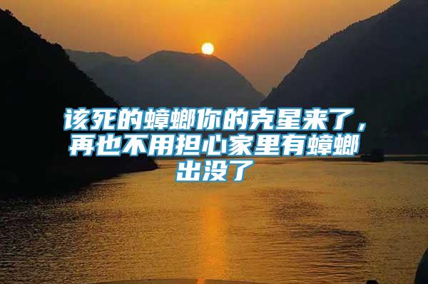 該死的蟑螂你的克星來了，再也不用擔心家里有蟑螂出沒了