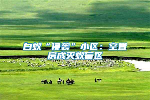 白蟻“侵襲”小區(qū)：空置房成滅蟻盲區(qū)
