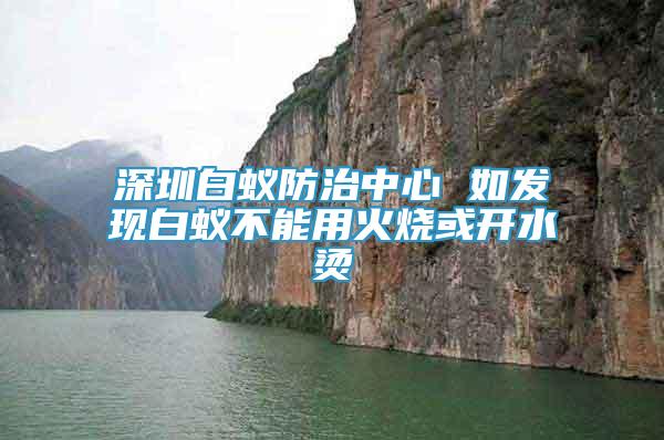 深圳白蟻防治中心 如發(fā)現(xiàn)白蟻不能用火燒或開水燙