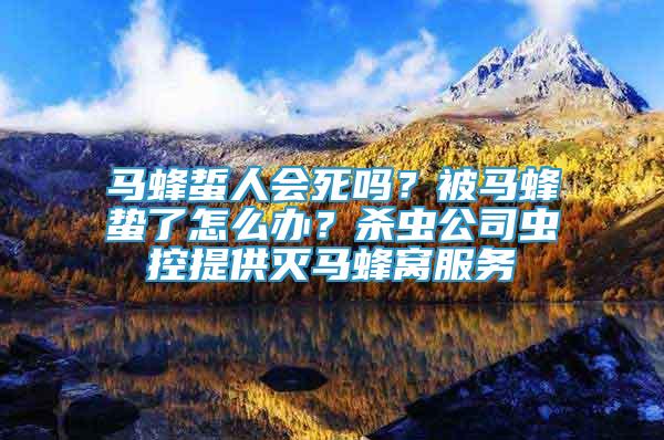 馬蜂蜇人會(huì)死嗎？被馬蜂蟄了怎么辦？殺蟲公司蟲控提供滅馬蜂窩服務(wù)