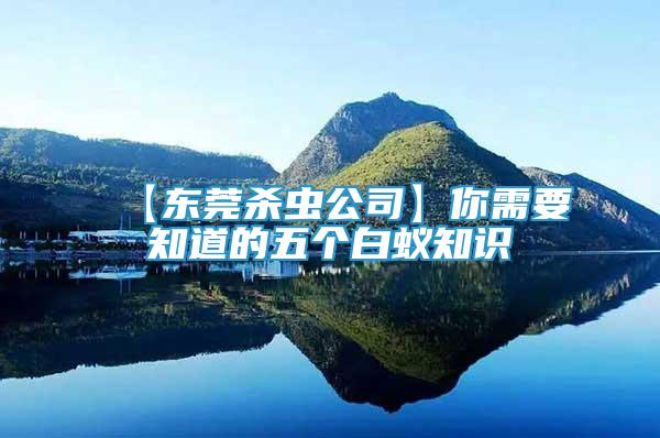 【東莞殺蟲公司】你需要知道的五個(gè)白蟻知識