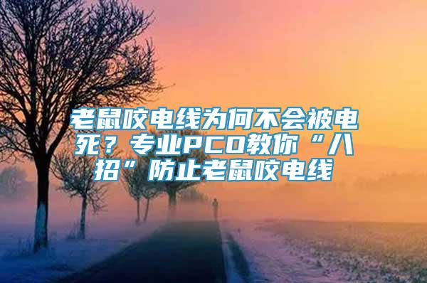 老鼠咬電線為何不會被電死？專業(yè)PCO教你“八招”防止老鼠咬電線
