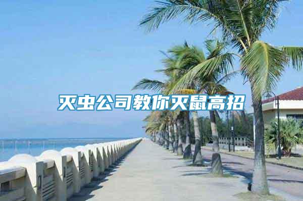 滅蟲公司教你滅鼠高招