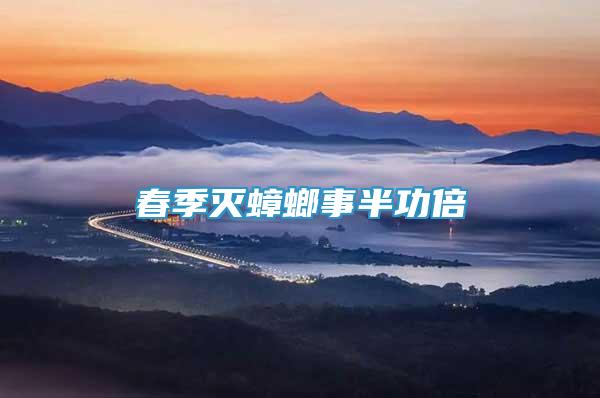 春季滅蟑螂事半功倍