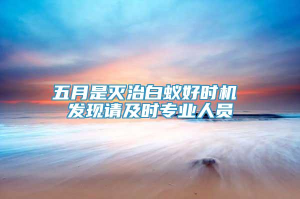 五月是滅治白蟻好時(shí)機(jī) 發(fā)現(xiàn)請及時(shí)專業(yè)人員