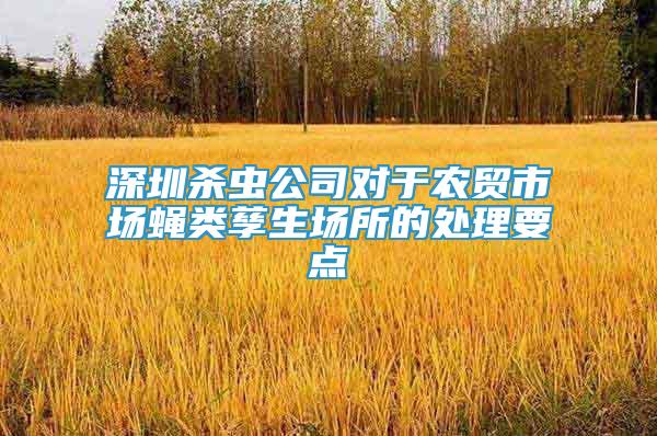 深圳殺蟲(chóng)公司對(duì)于農(nóng)貿(mào)市場(chǎng)蠅類(lèi)孳生場(chǎng)所的處理要點(diǎn)