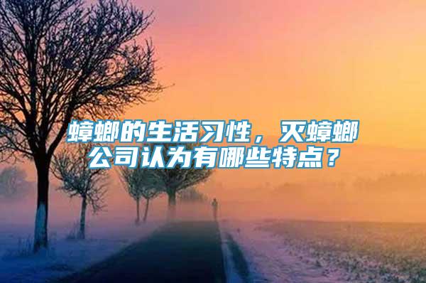 蟑螂的生活習性，滅蟑螂公司認為有哪些特點？