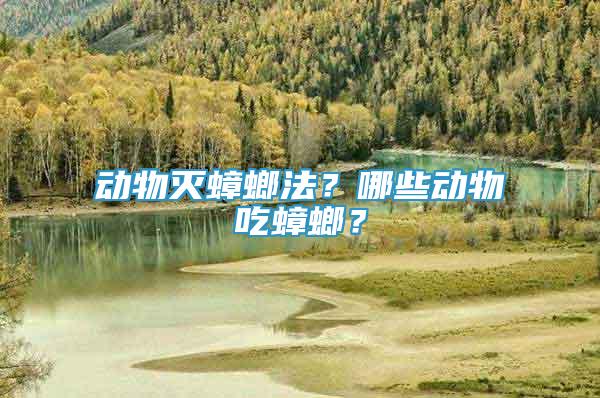 動(dòng)物滅蟑螂法？哪些動(dòng)物吃蟑螂？