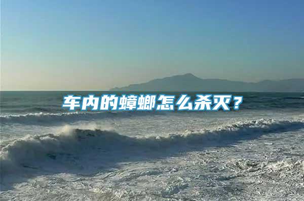 車(chē)內(nèi)的蟑螂怎么殺滅？